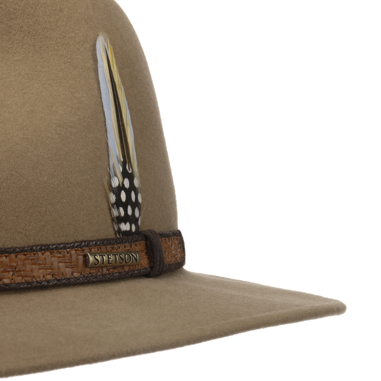 Stetson feather on sale