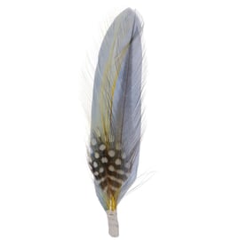 Stetson Feather