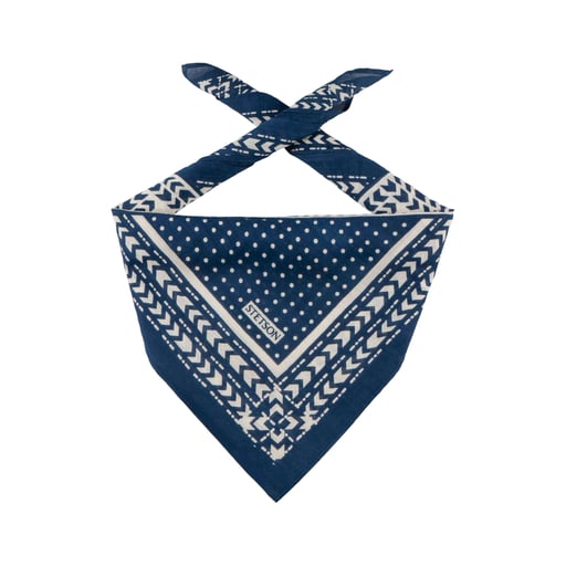 Stetson Bandana Abstract Geometric