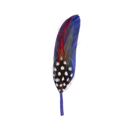Stetson Hat Feather
