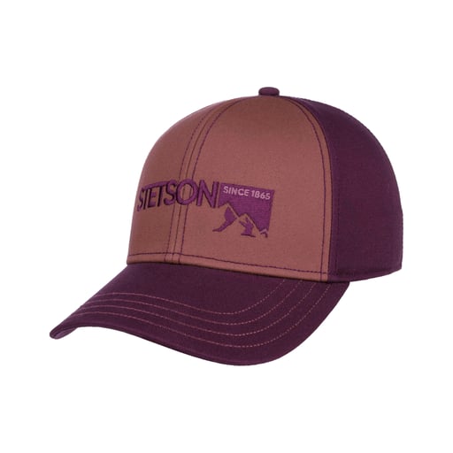 Stetson Mountain Logo Pet